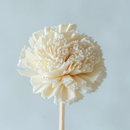 White Carnation Sola Flower Sticks (10 sticks)