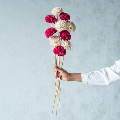 Pink and White Sola Carnations Set (10 sticks)