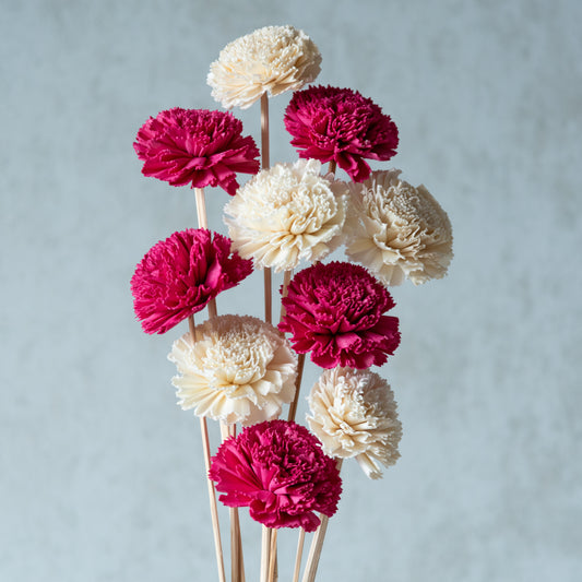 Pink and White Sola Carnations Set (10 sticks)
