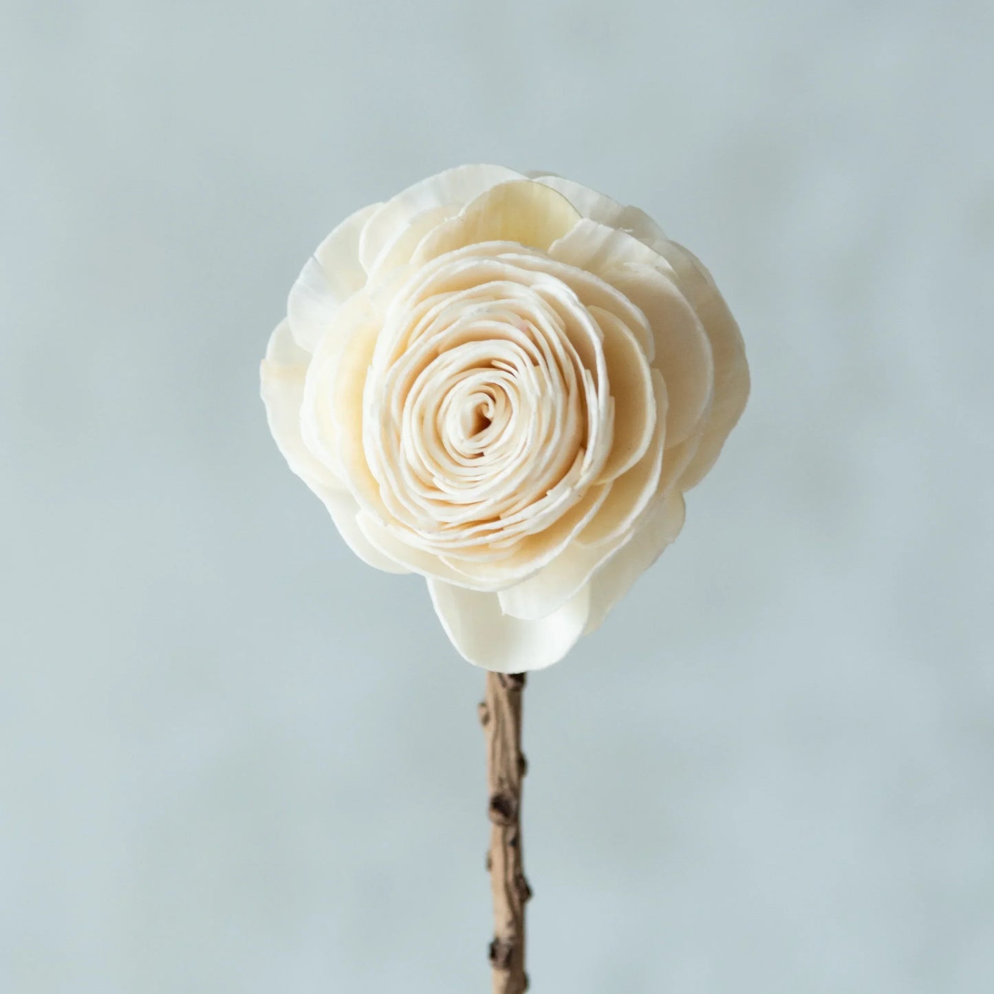 Adjustable  Sola Flower Sticks (Set of 10)