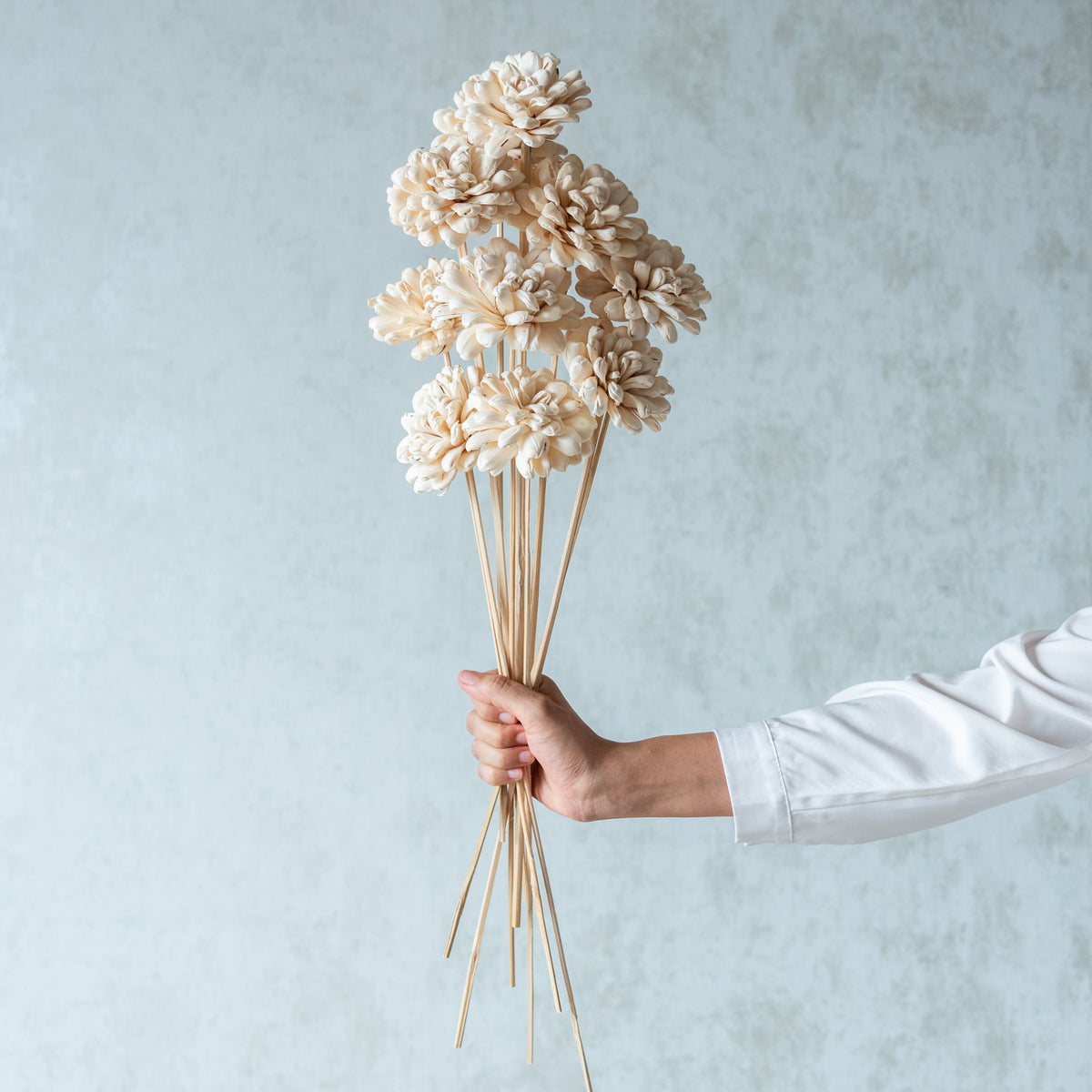 White Sola Fancy Flower Sticks (2 Sticks)- BYOB