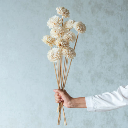 White Sola Bingo Flower Sticks (10 Sticks)