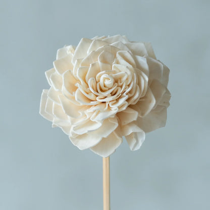 White Sola Bingo Flower Sticks (10 Sticks)