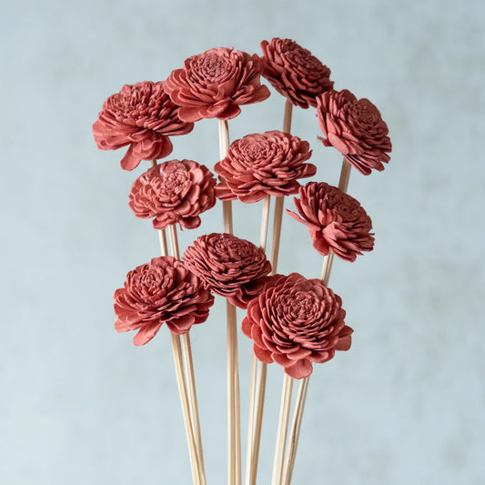 Rustic Pink Sola Belly Flower Sticks (10 sticks)