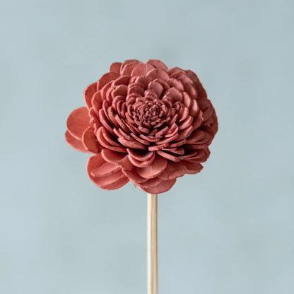 Rustic Pink Sola Belly Flower Sticks (10 sticks)