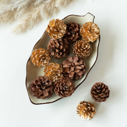 Dazzle Brown and Gold Pine Cones (Set of 10 pcs)