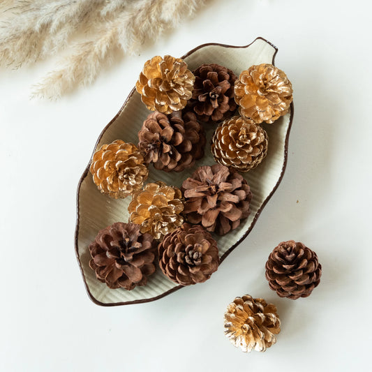 Dazzle Brown and Gold Pine Cones (Set of 10 pcs)