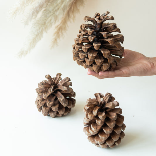 Jumbo Pine Cone (Set of 3)