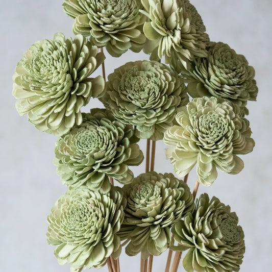 Garden Green Sola Wood Flowers Sticks (10 Sticks)