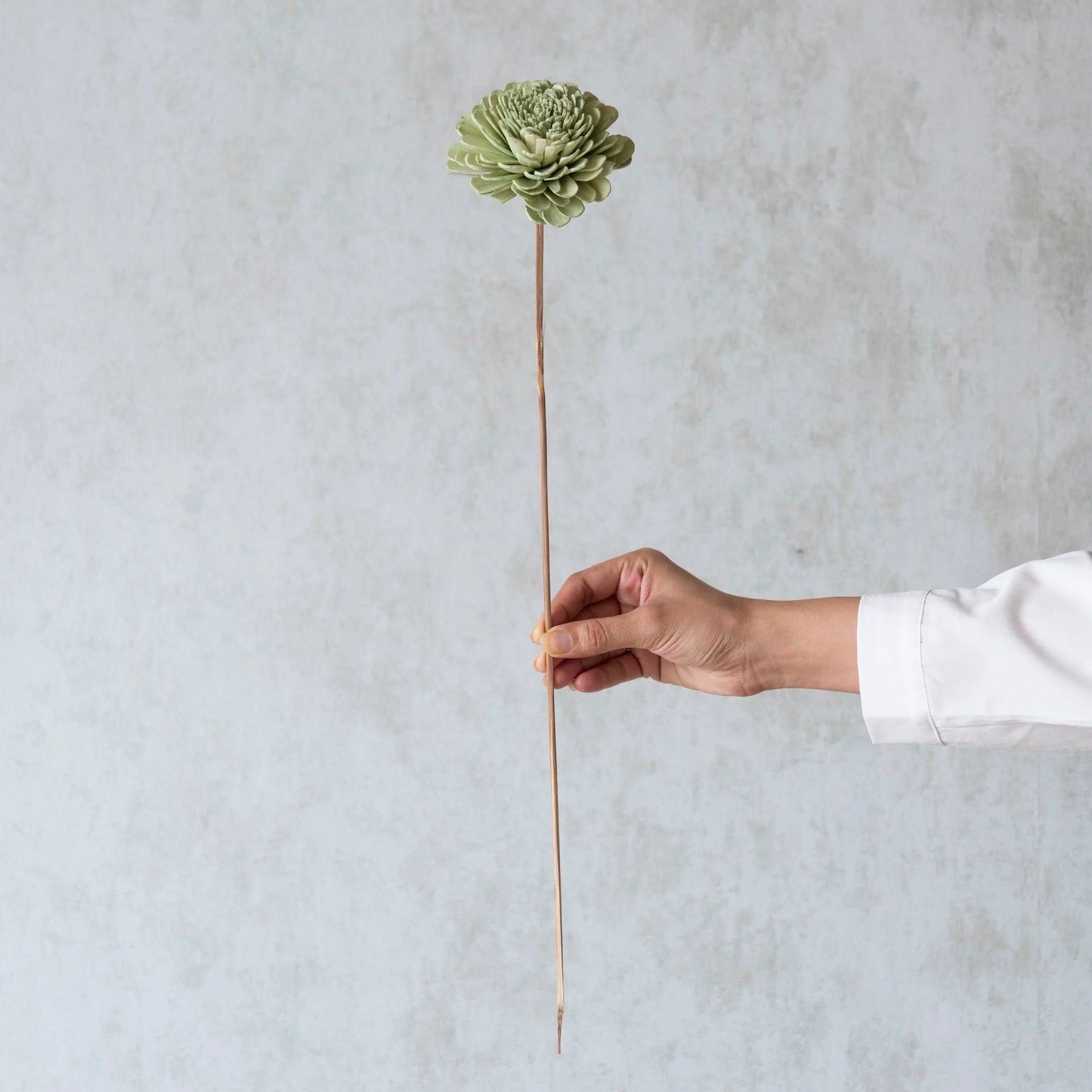 Garden Green Sola Wood Flowers Sticks (10 Sticks)