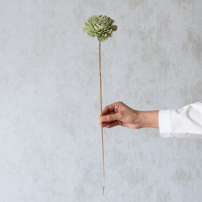 Garden Green Sola Wood Flowers Sticks (10 Sticks)