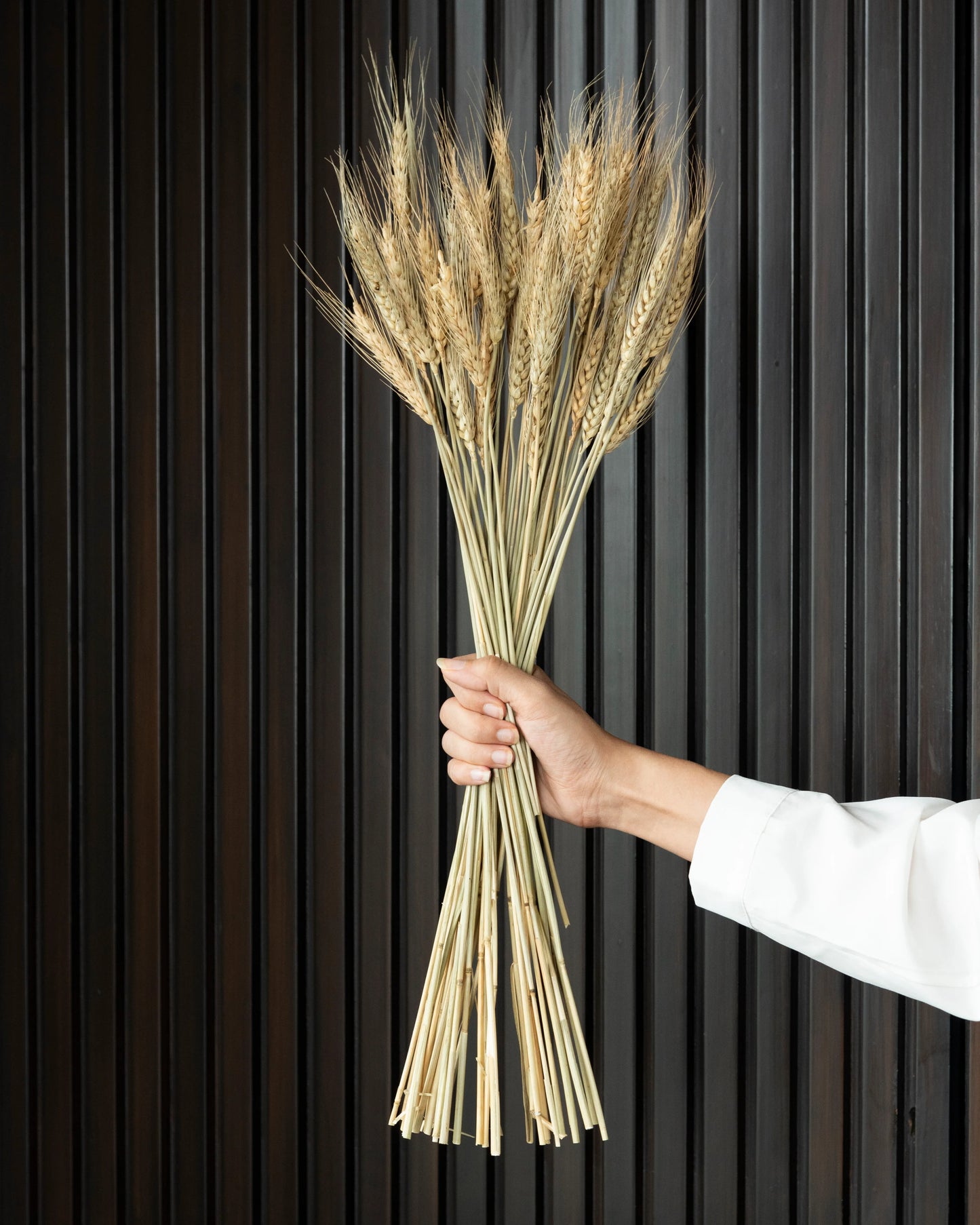 Wheat Grass (100 Grams)