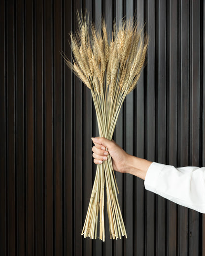 Wheat Grass (100 Grams)