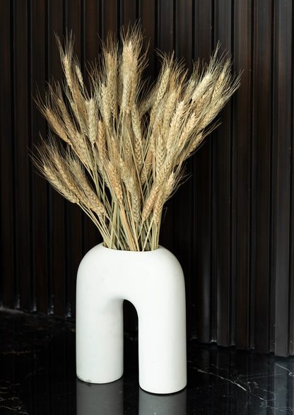 Wheat Grass (100 Grams)