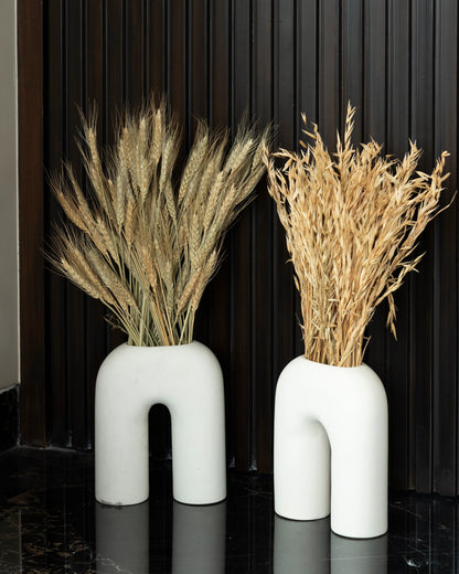 Combination of Wheat & Havana Grass (100 Grams Each)