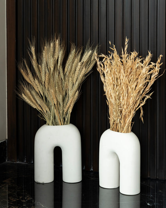 Combination of Wheat & Havana Grass (100 Grams Each)