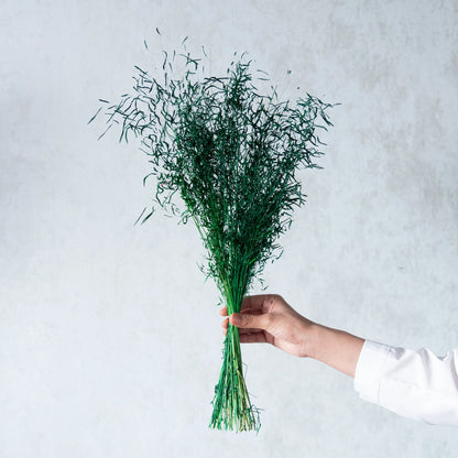 Green Tiger Grass (100 Grams)