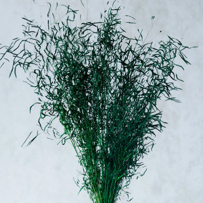 Green Tiger Grass (100 Grams)