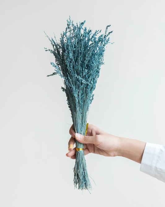 Blue Star Grass Filler  (100 Grams)