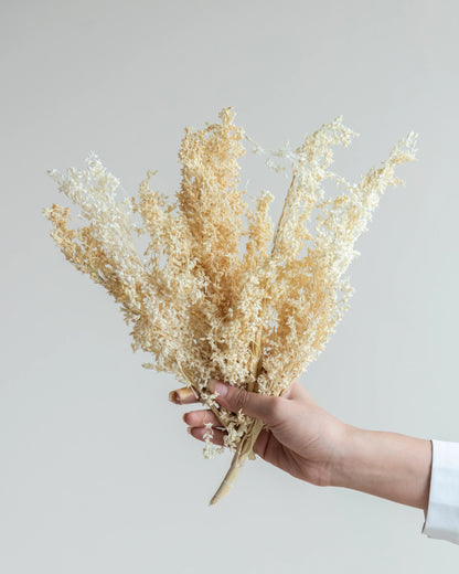 Corn Grass (6 Pcs)