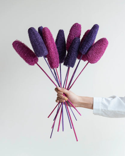 Decorative Luffa Sticks
