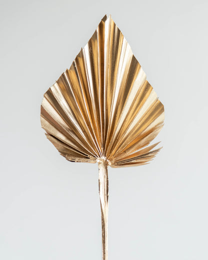 Palm Spear / Palm Leaf (Pack Of 5) (Colours Avaialble)