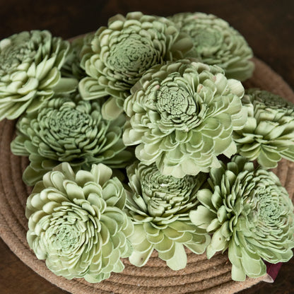 Garden Green Sola Flowers 8 cm (Pack of 10)