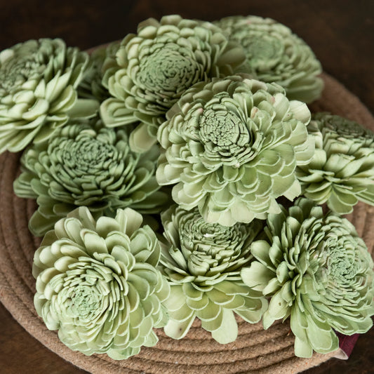 Garden Green Sola Flowers 8 cm (Pack of 10)