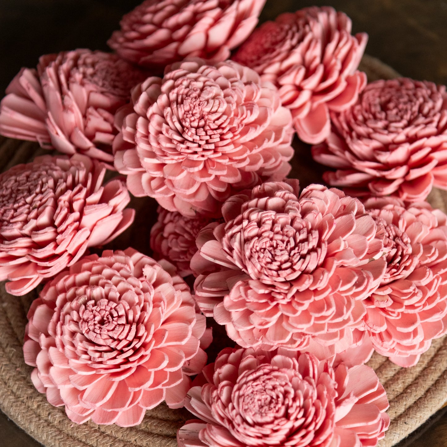 Rose Pink Sola Belly Flower 8 cm (Pack of 10)