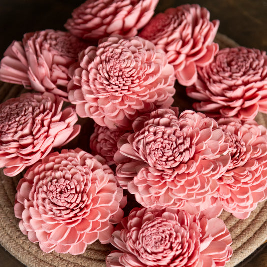 Rose Pink Sola Belly Flower 8 cm (Pack of 10)