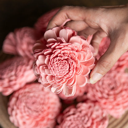 Rose Pink Sola Belly Flower 8 cm (Pack of 10)