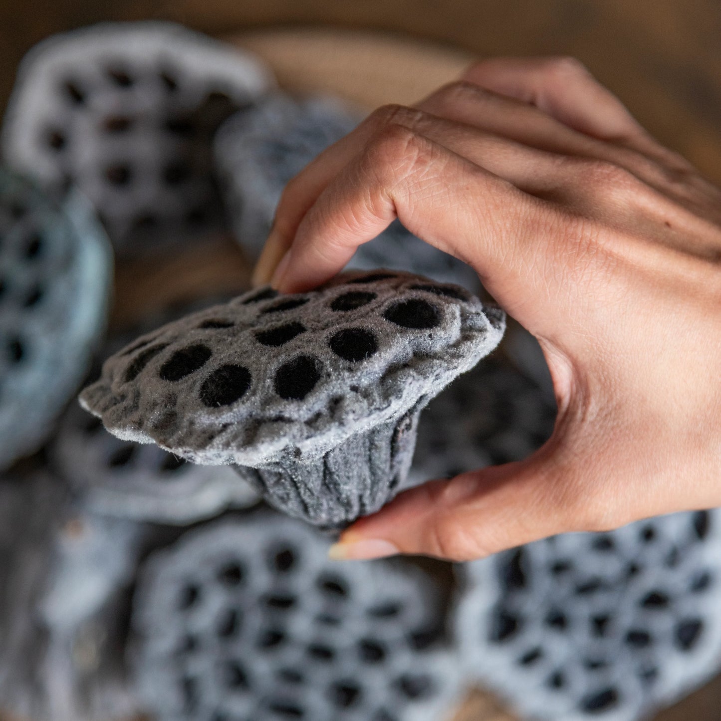 Velvet Lotus Pods (Pack Of 10)