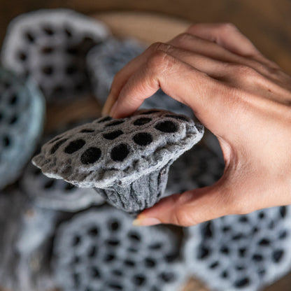 Velvet Lotus Pods (Pack Of 10)