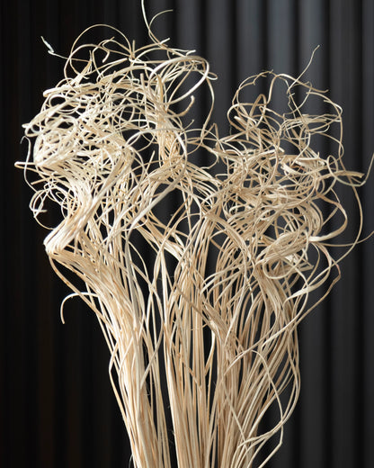 Curly Sticks (100 Grams)