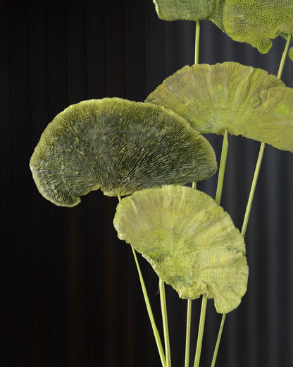 Green Sponge Mushroom Sticks (10 Sticks)