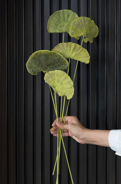 Green Sponge Mushroom Sticks (10 Sticks)