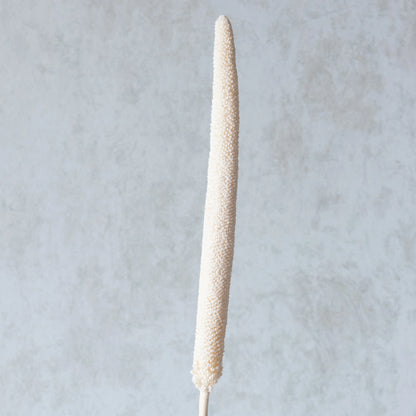 White Millet Sticks (10 Sticks)