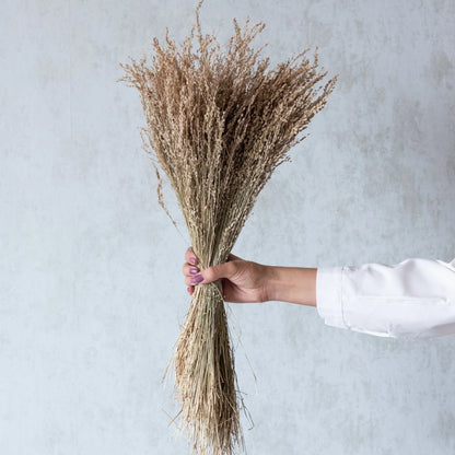 Star Grass (100 Grams)