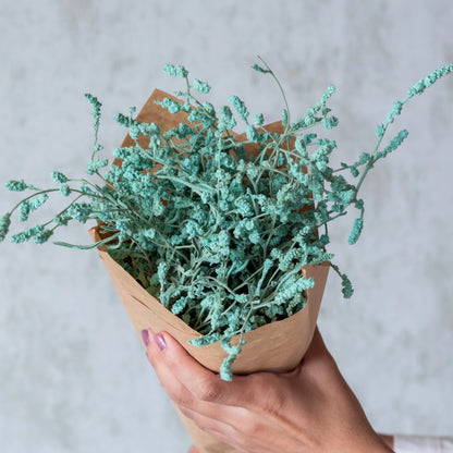 Sea Blue Dried German Statice Grass (100 Grams)