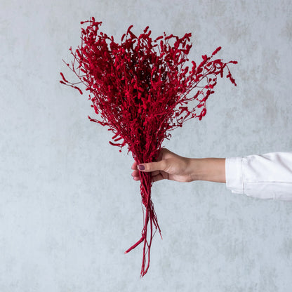 Red Dried German Statice Grass (100 Grams)