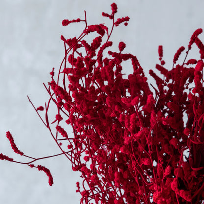 Red Dried German Statice Grass (100 Grams)