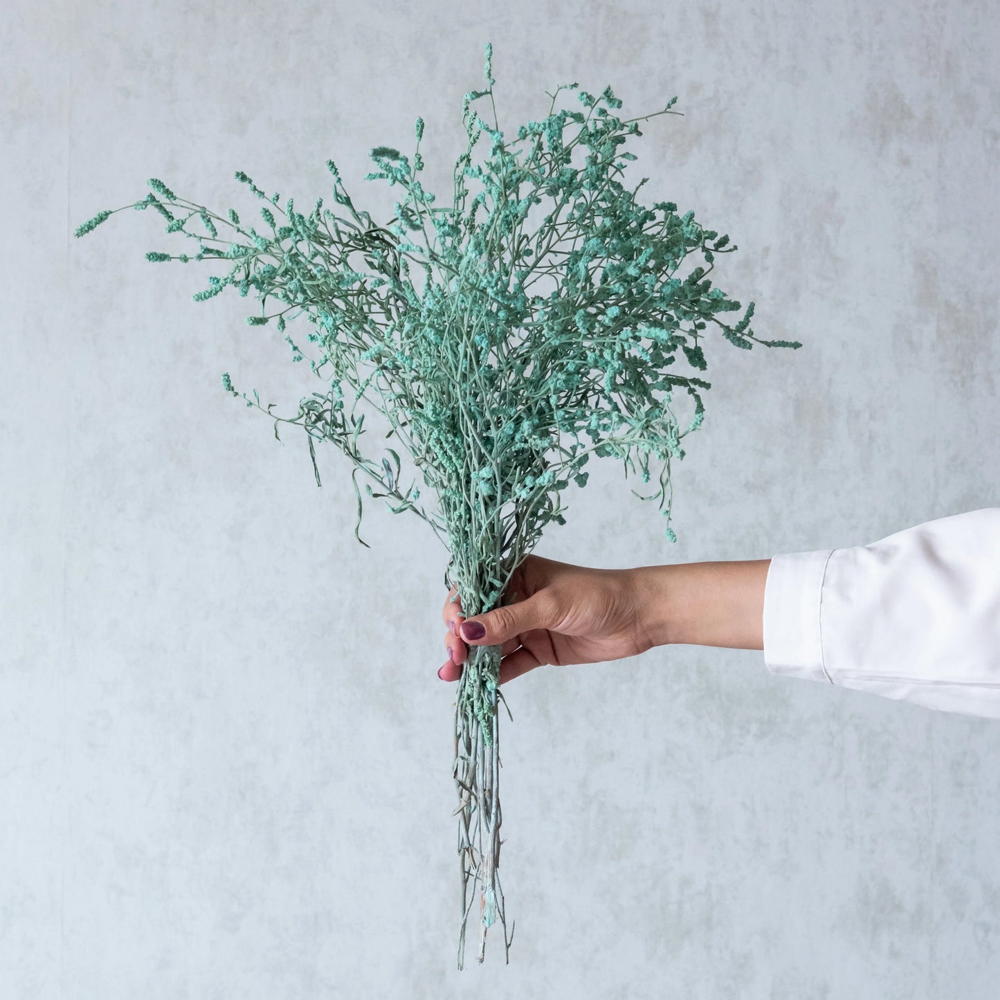 Sea Blue Dried German Statice Grass (100 Grams)