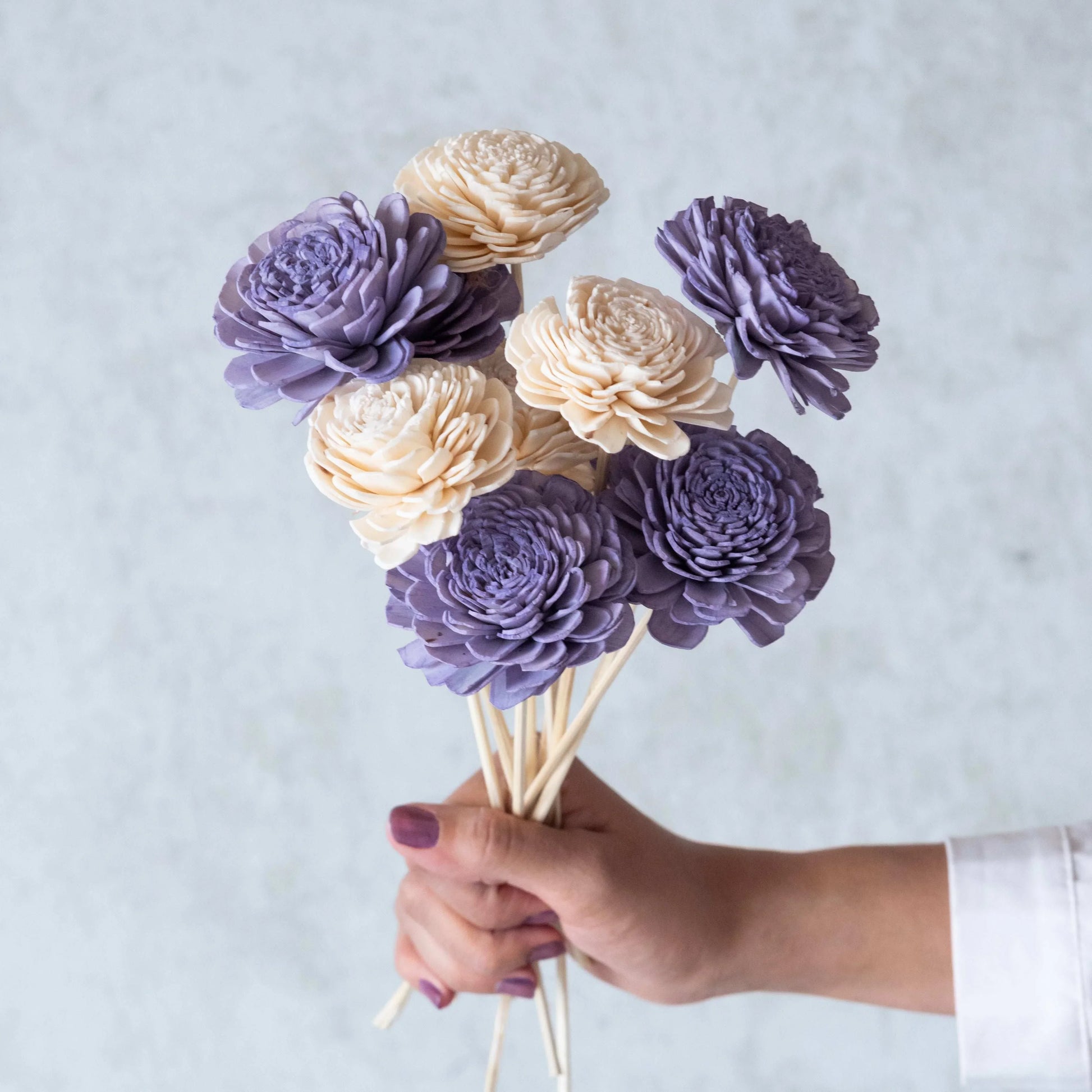 Lavender and White Sola Flower Sticks (10 Sticks)