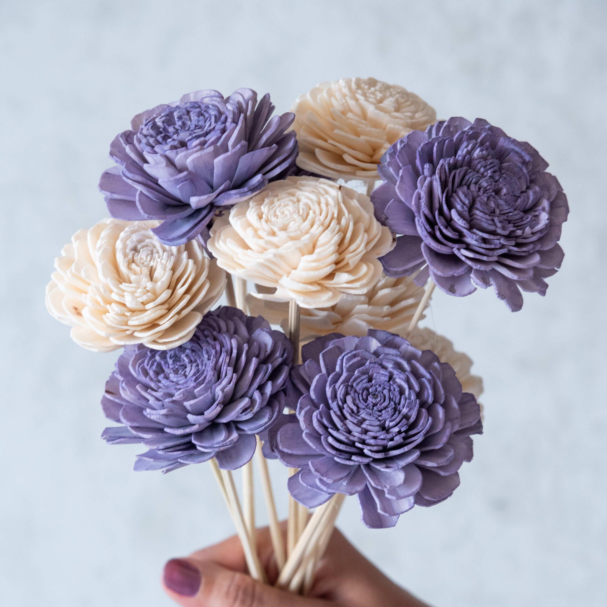 Lavender and White Sola Flower Sticks (10 Sticks)