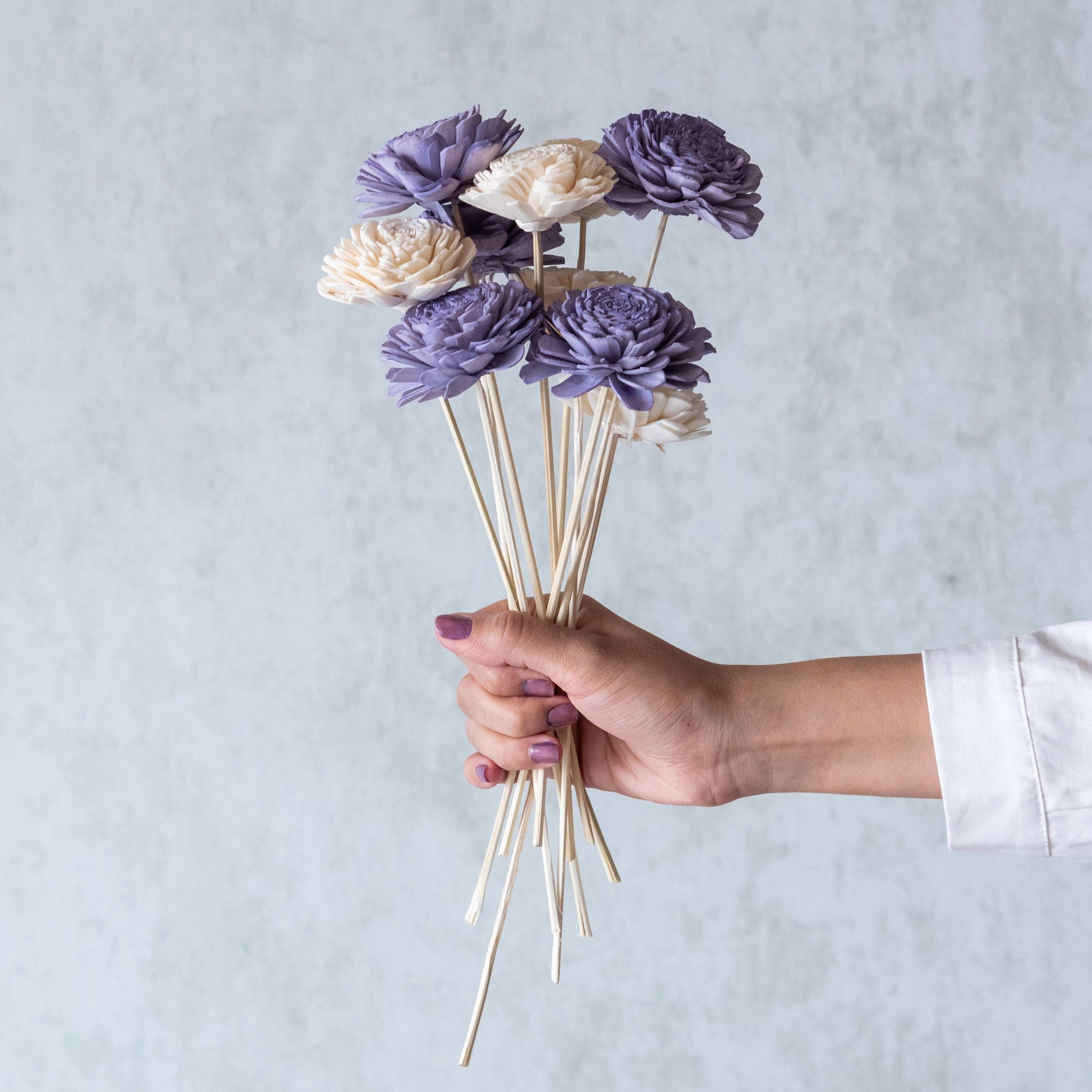 Lavender and White Sola Flower Sticks (10 Sticks)