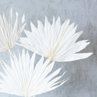 White Sun Palm Spears (Set Of 3 Pcs)