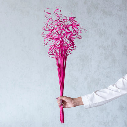 Curly Sticks (100 Grams)