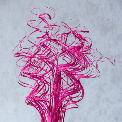 Curly Sticks (100 Grams)