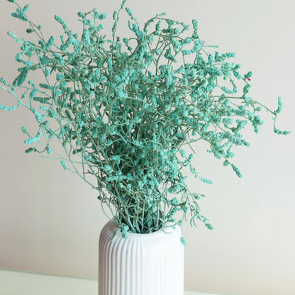 Sea Blue Dried German Statice Grass (100 Grams)