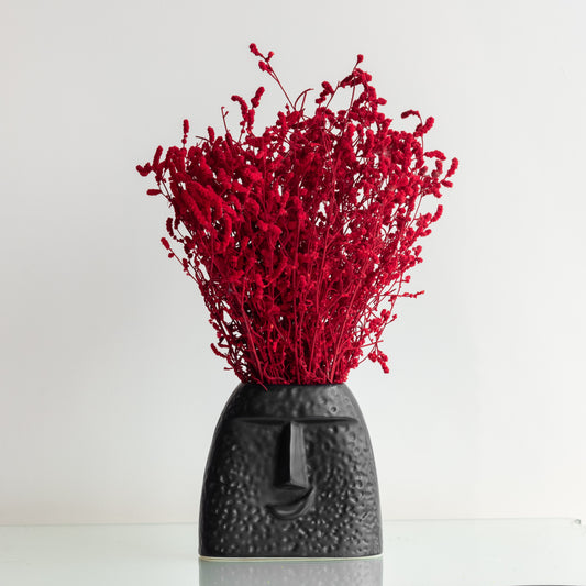 Red Dried German Statice Grass (100 Grams) in The Quirky Face Vase